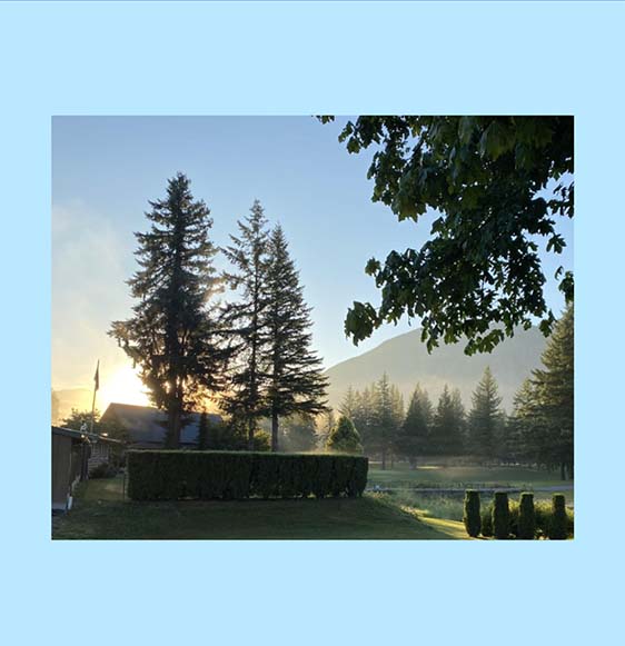 The sun rises behind the clubhouse and 2 trees.